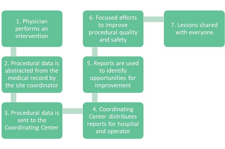 1. Physician performs an intervention 2. Procedural data is abstracted from the medical record by the site coordinator 3. Procedural data is sent to the Coordinating Center 4 Coordinating Center distributes reports for hospital and operator 5. Reports are used to identify opportunities for improvement 6. Focused efforts to improve procedural quality and safety 7. Lessons shared with everyone